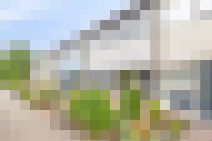 Posthoorn 9 Barger-Compascuum thumbnail 6
