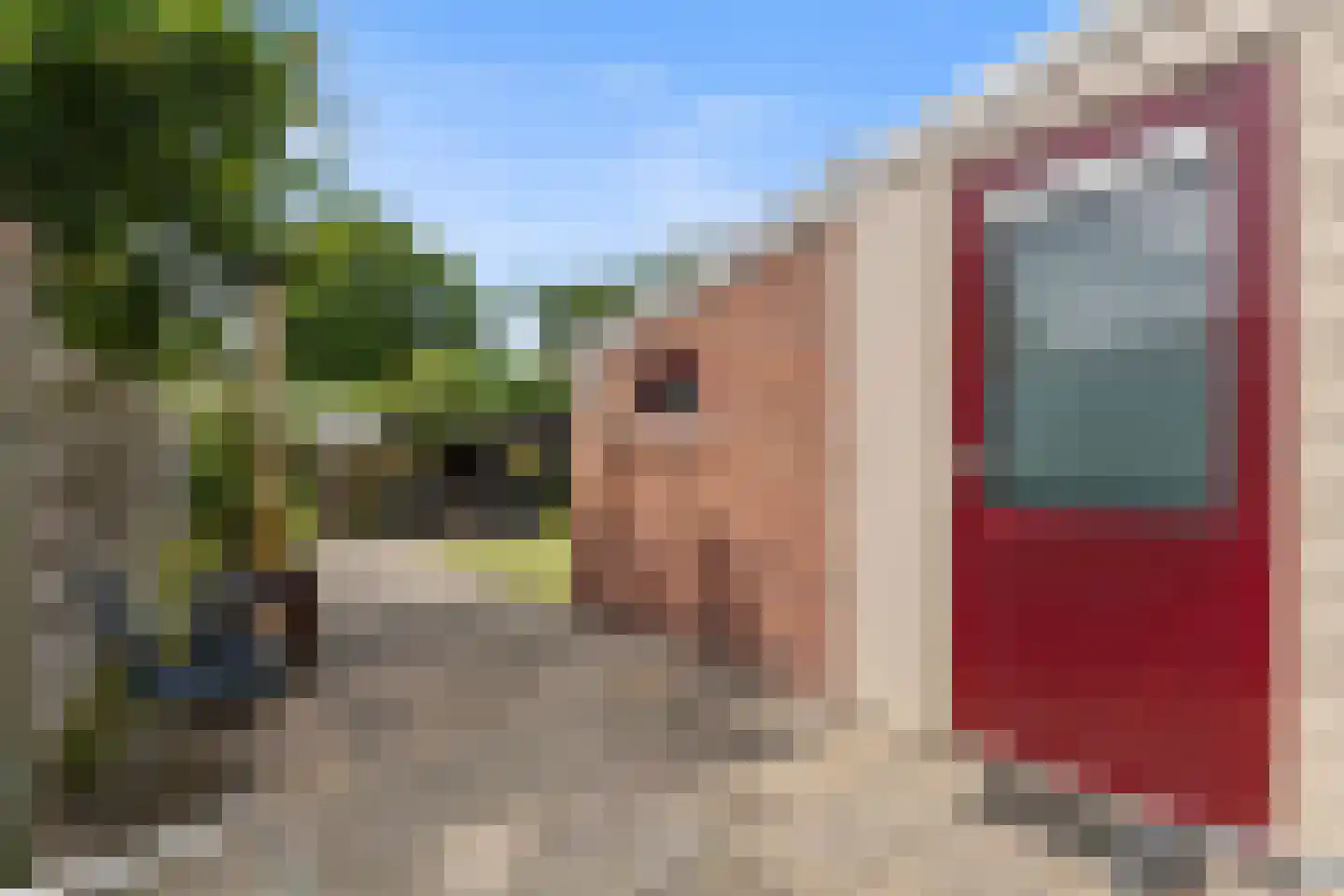 Posthoorn 9 Warmenhuizen thumbnail 23