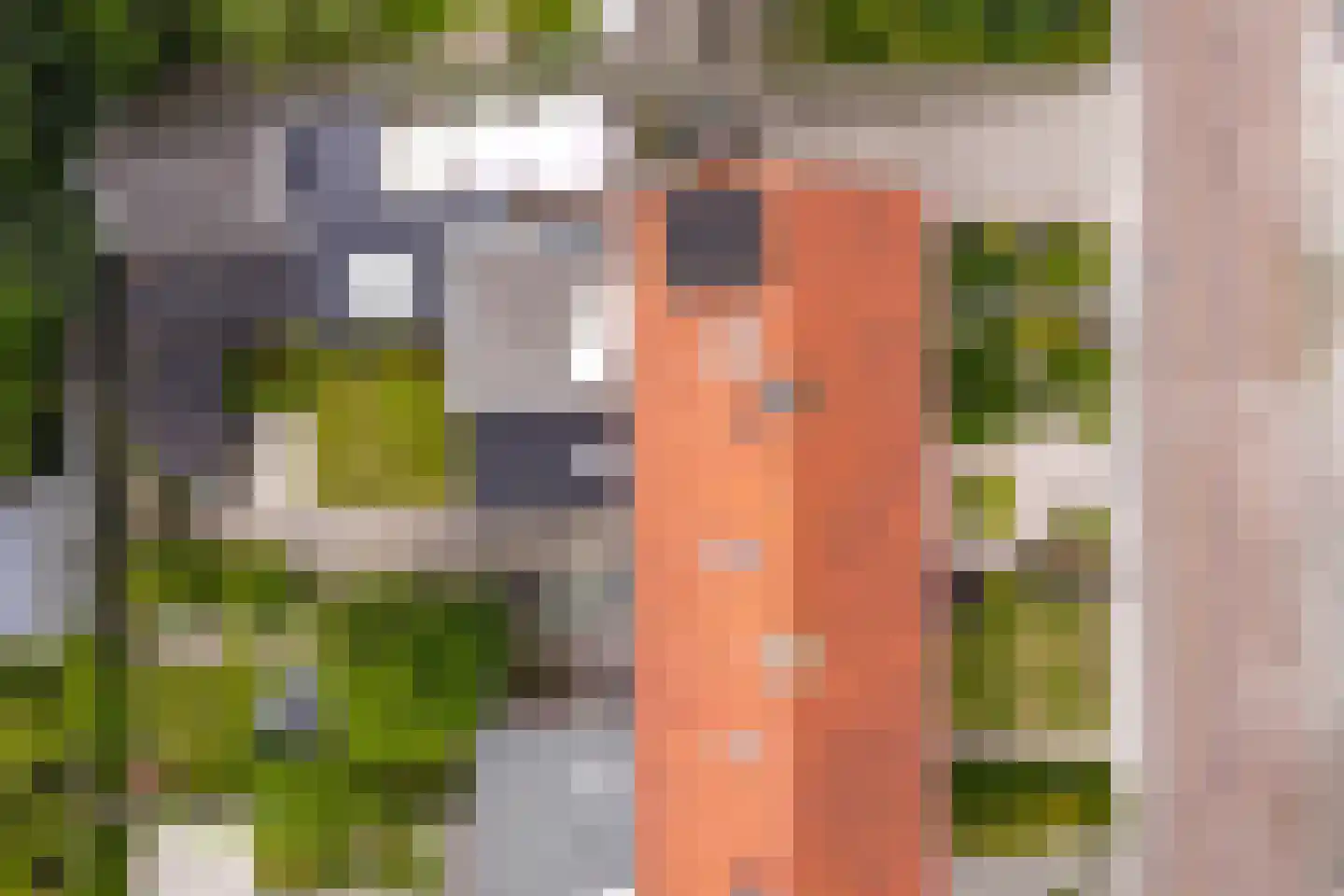 Posthoorn 9 Warmenhuizen thumbnail 28