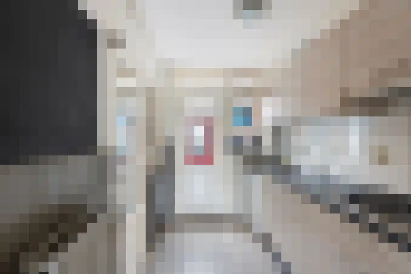 Posthoorn 9 Warmenhuizen thumbnail 9