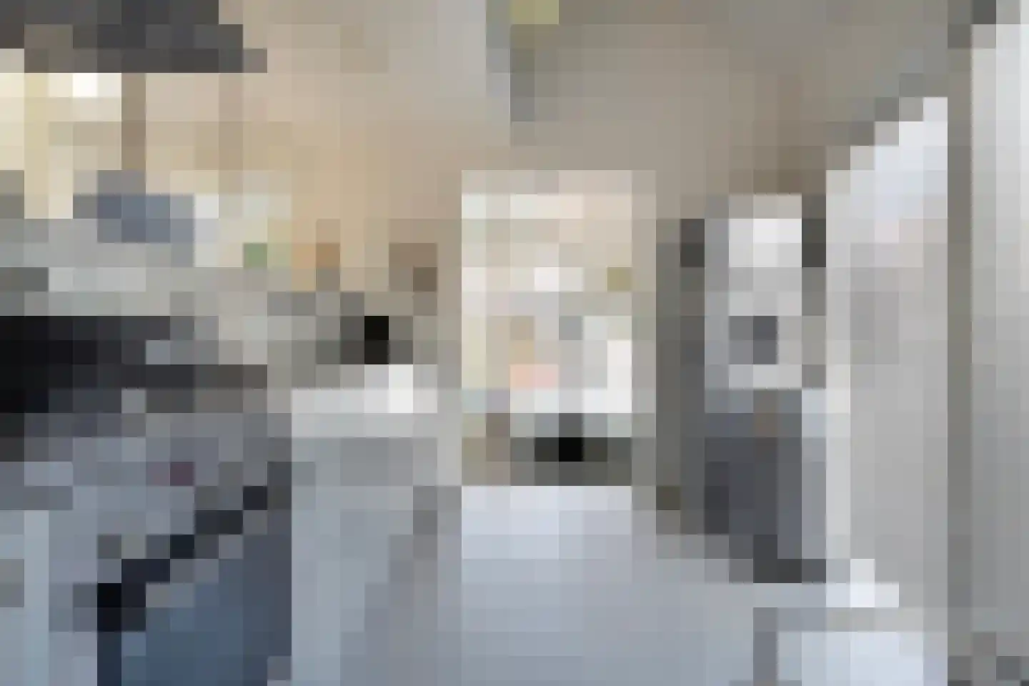 Posthoornsbredehoek 12 Zwolle thumbnail 11