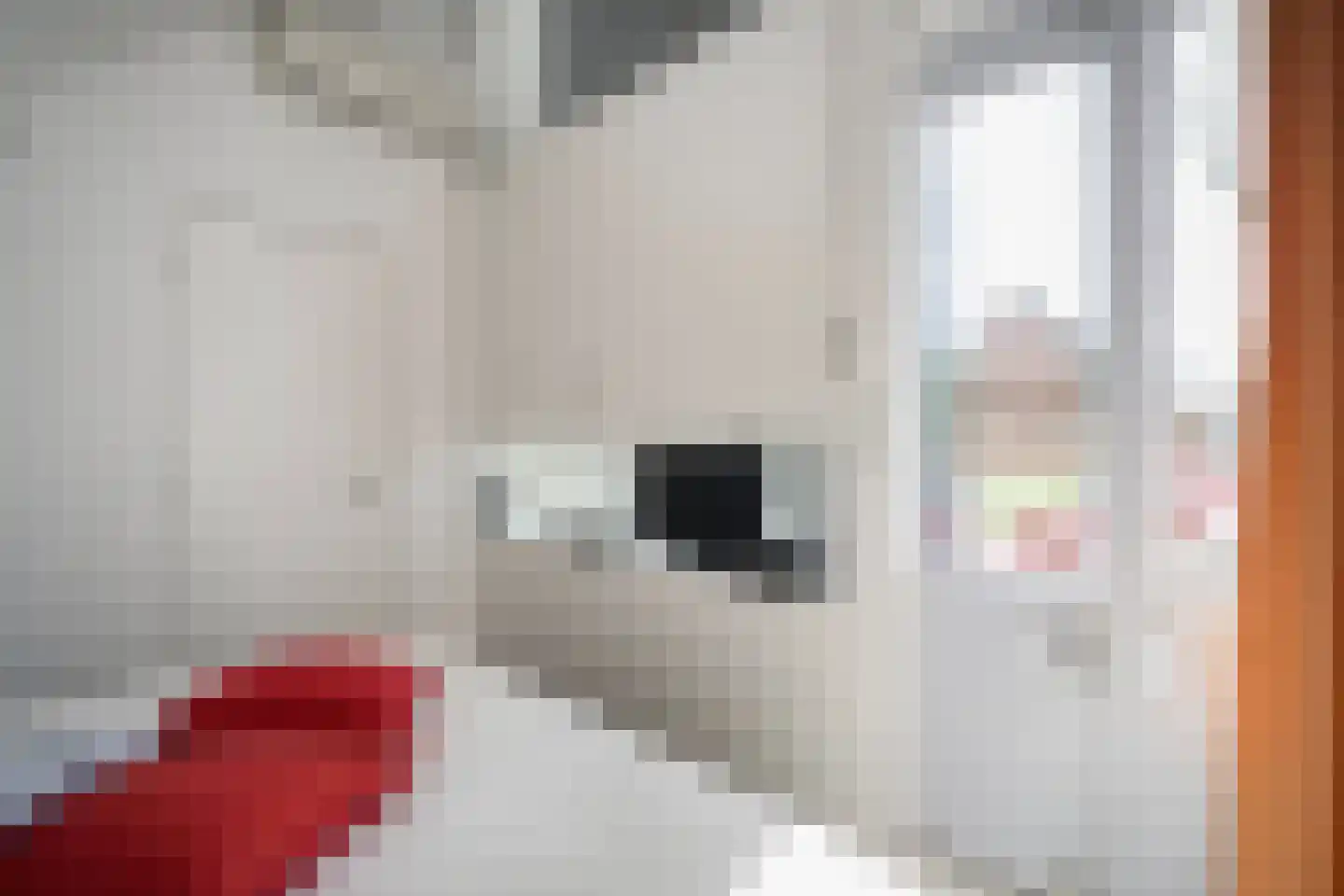 Posthoornsbredehoek 12 Zwolle thumbnail 20