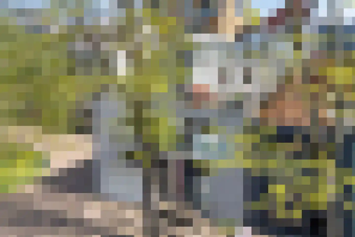 Posthoornsbredehoek 12 Zwolle thumbnail 28