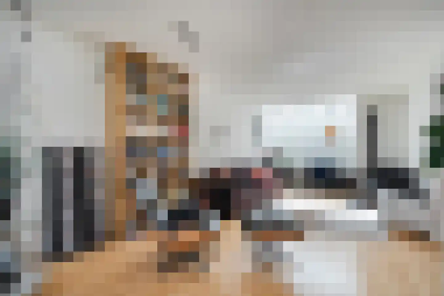 Posthoornsbredehoek 12 Zwolle thumbnail 6