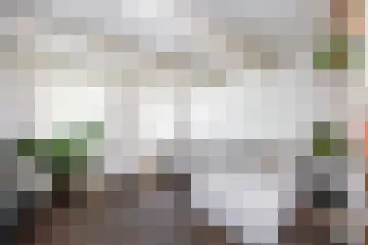 Posthoornsbredehoek 7 Zwolle thumbnail 12