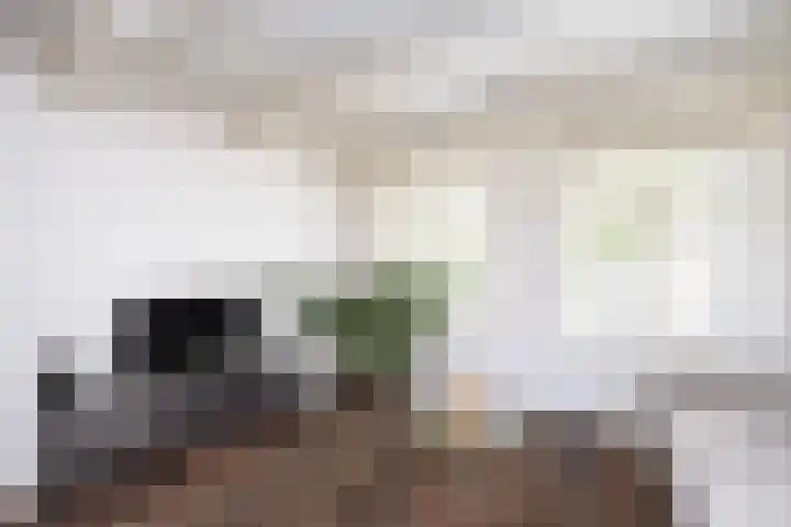 Posthoornsbredehoek 7 Zwolle thumbnail 13