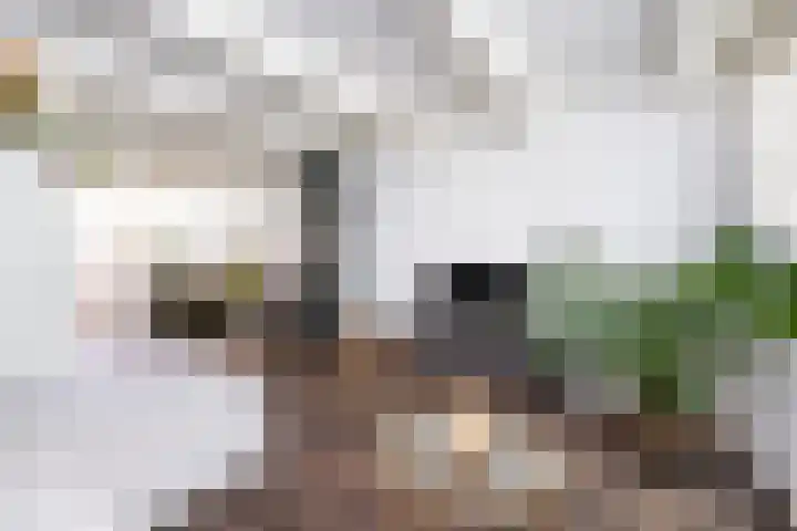 Posthoornsbredehoek 7 Zwolle thumbnail 14