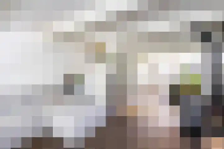 Posthoornsbredehoek 7 Zwolle thumbnail 15