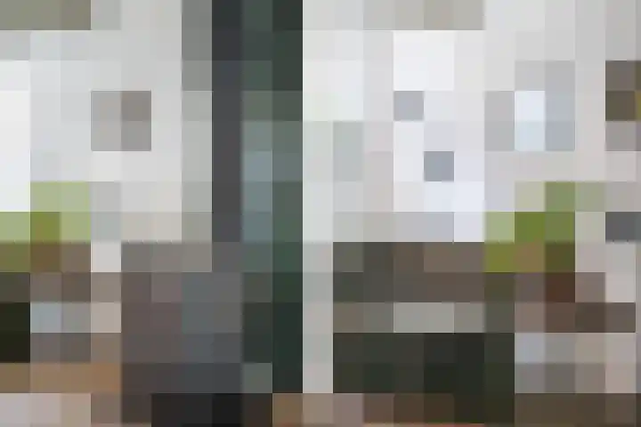 Posthoornsbredehoek 7 Zwolle thumbnail 16