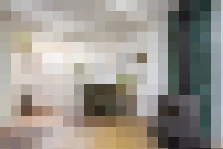 Posthoornsbredehoek 7 Zwolle thumbnail 17