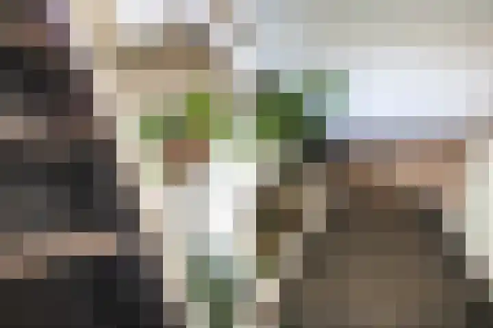 Posthoornsbredehoek 7 Zwolle thumbnail 18