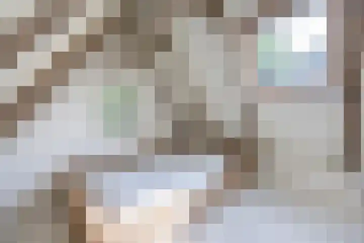 Posthoornsbredehoek 7 Zwolle thumbnail 21