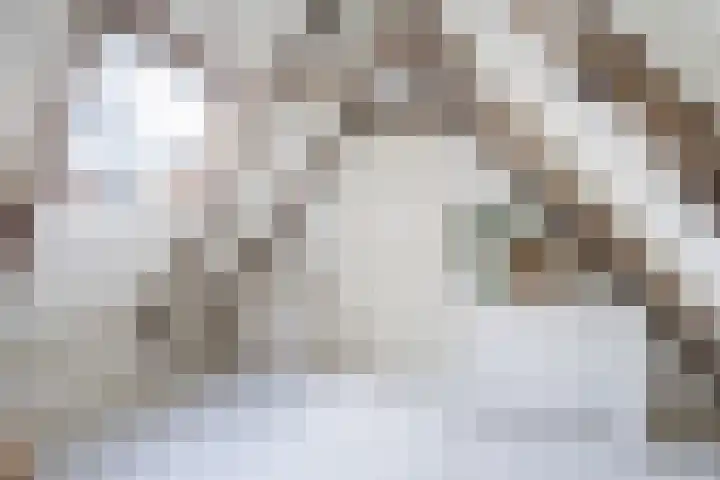 Posthoornsbredehoek 7 Zwolle thumbnail 23