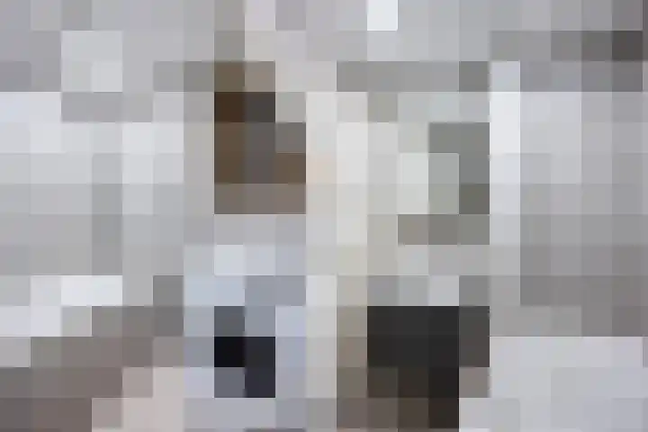 Posthoornsbredehoek 7 Zwolle thumbnail 24