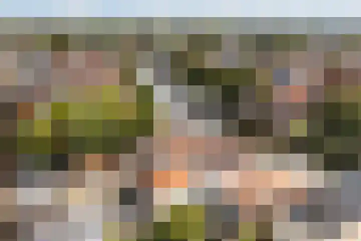 Posthoornsbredehoek 7 Zwolle thumbnail 25