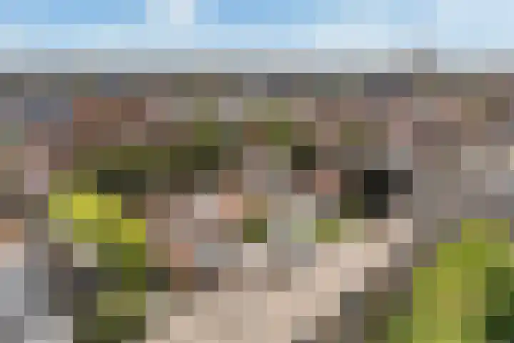 Posthoornsbredehoek 7 Zwolle thumbnail 26
