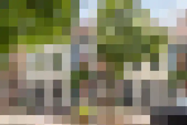 Posthoornsbredehoek 7 Zwolle thumbnail 4