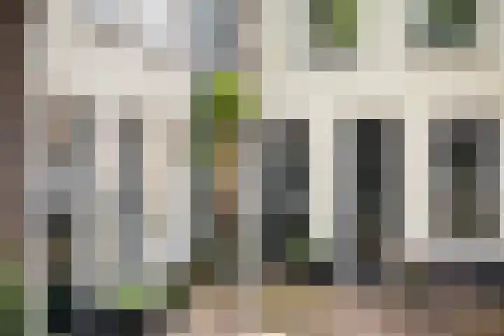 Posthoornsbredehoek 7 Zwolle thumbnail 5