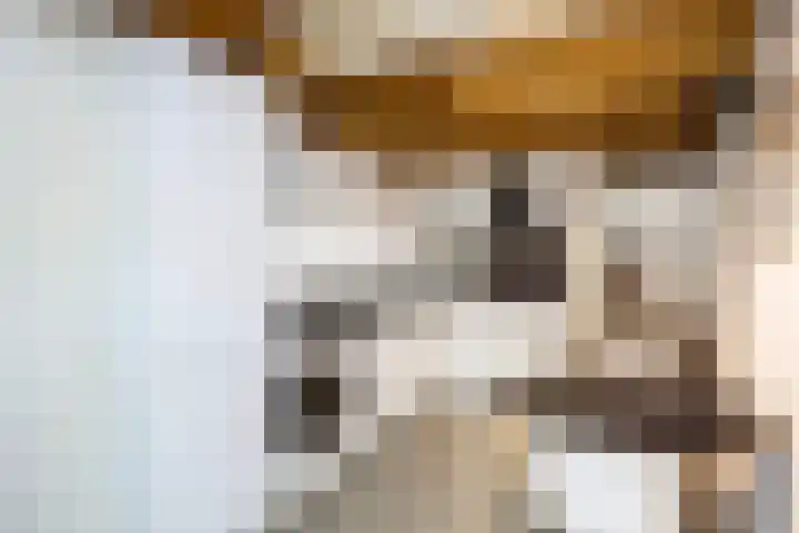 Posthoornsbredehoek 7 Zwolle thumbnail 8