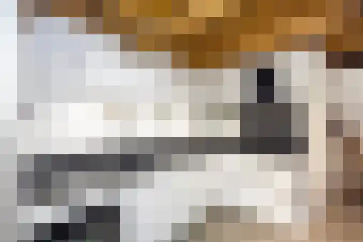 Posthoornsbredehoek 7 Zwolle thumbnail 9