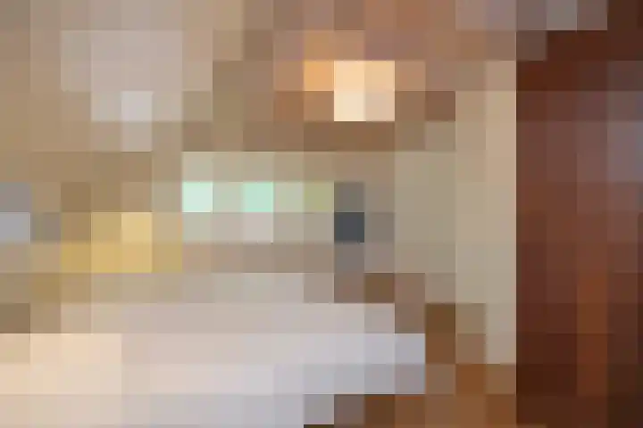 Posthoornseweg 20 Oisterwijk thumbnail 23