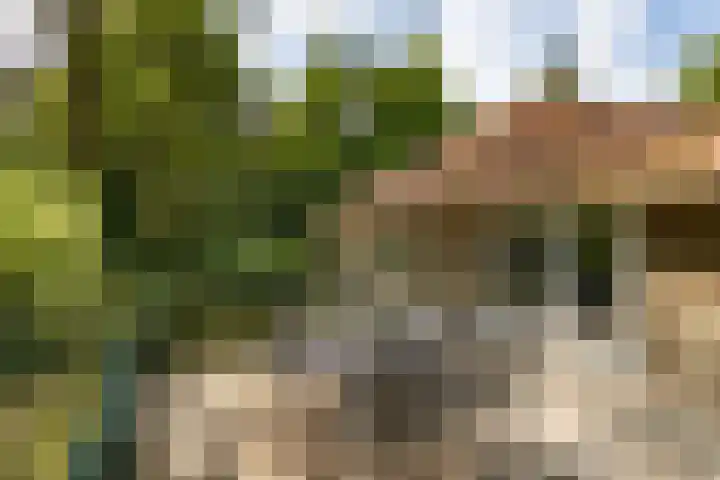 Posthoornseweg 20 Oisterwijk thumbnail 34