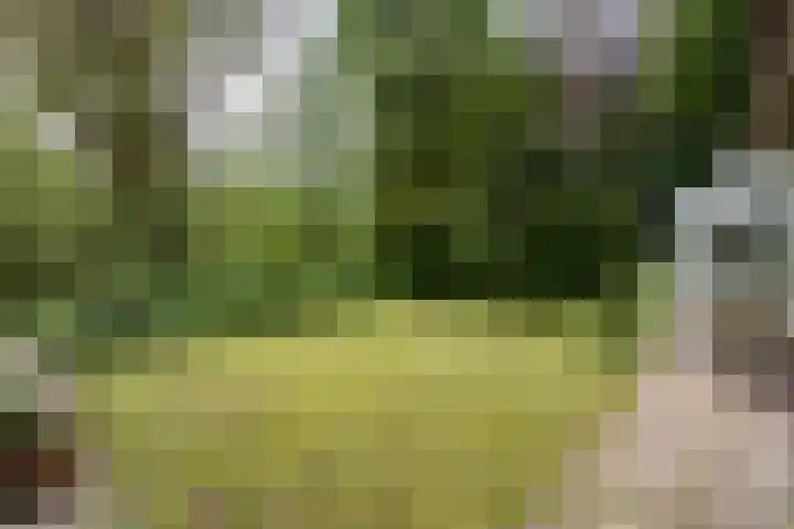 Posthoornseweg 20 Oisterwijk thumbnail 36