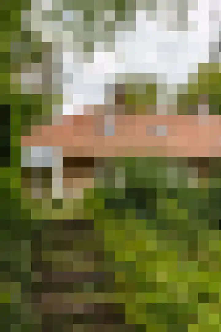 Posthoornseweg 20 Oisterwijk thumbnail 38