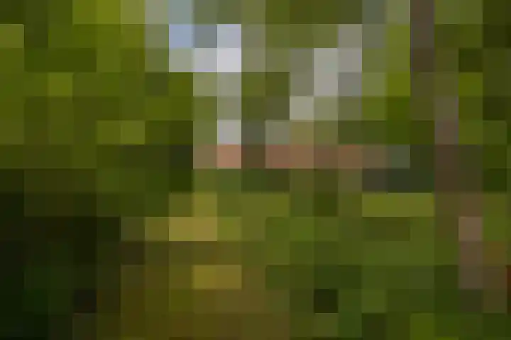 Posthoornseweg 20 Oisterwijk thumbnail 39