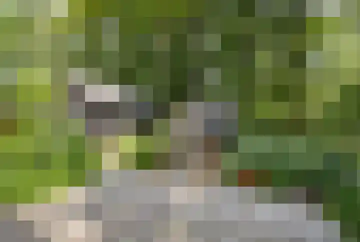 Posthoornseweg 20 Oisterwijk thumbnail 42