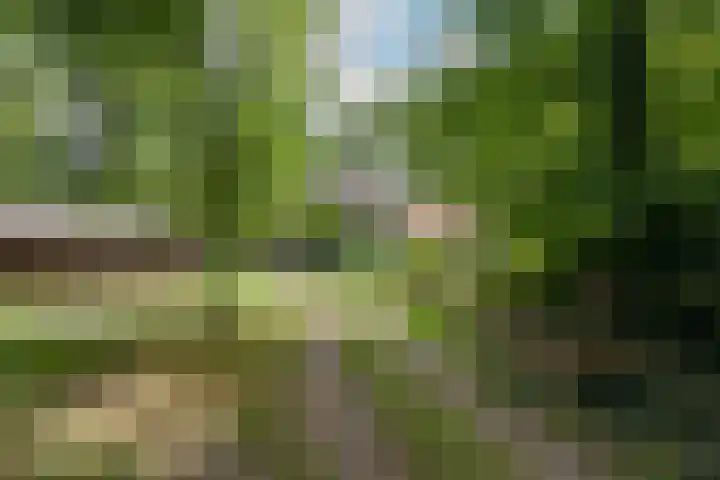 Posthoornseweg 20 Oisterwijk thumbnail 45