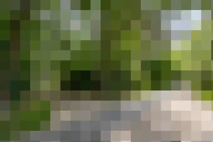 Posthoornseweg 20 Oisterwijk thumbnail 46