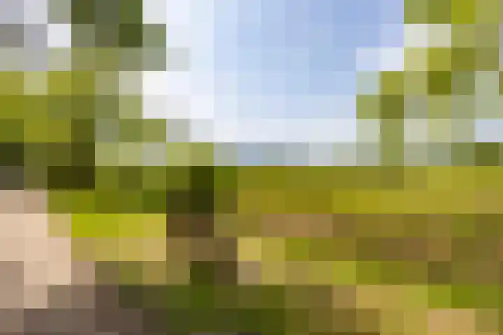Posthoornseweg 20 Oisterwijk thumbnail 47