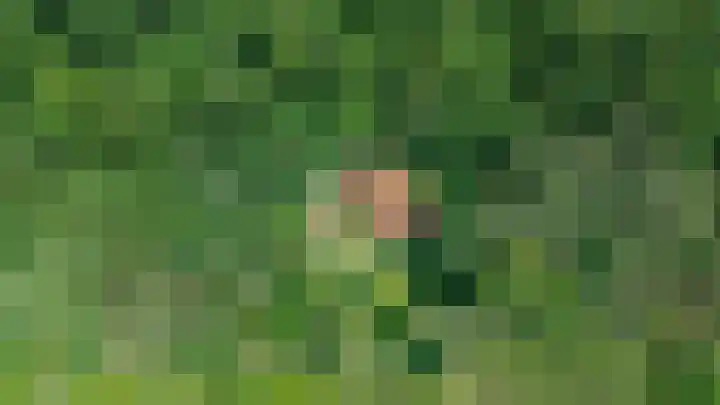 Posthoornseweg 20 Oisterwijk thumbnail 6