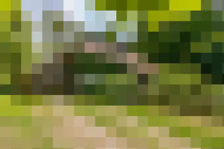 Posthoornseweg 20 Oisterwijk thumbnail 7