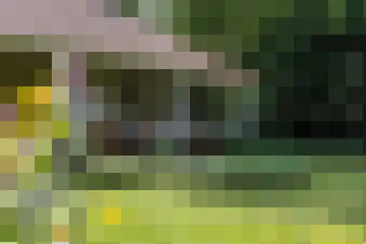Posthoornseweg 20 Oisterwijk thumbnail 8