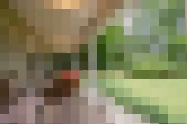 Posthoornseweg 20 Oisterwijk thumbnail 9