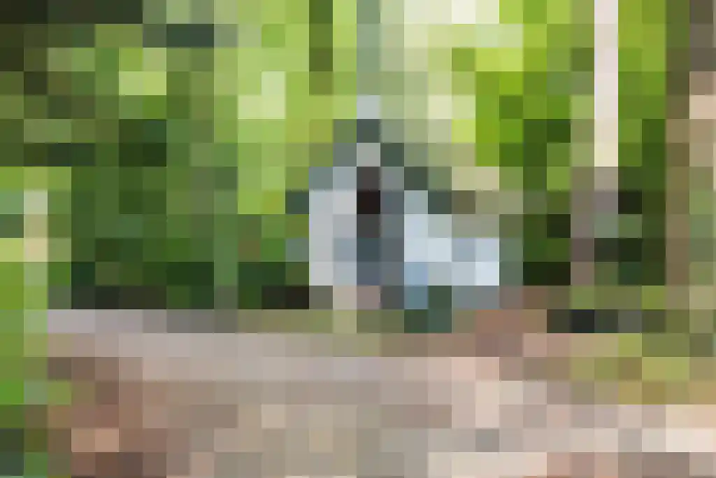 Posthoornseweg 5 301 Oisterwijk thumbnail 33