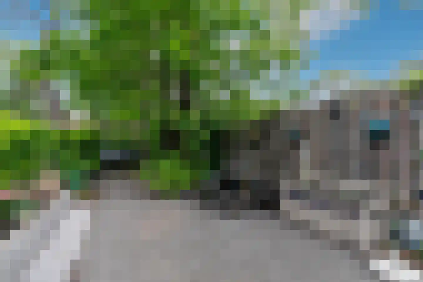 Posthoornseweg 6 32 Oisterwijk thumbnail 11