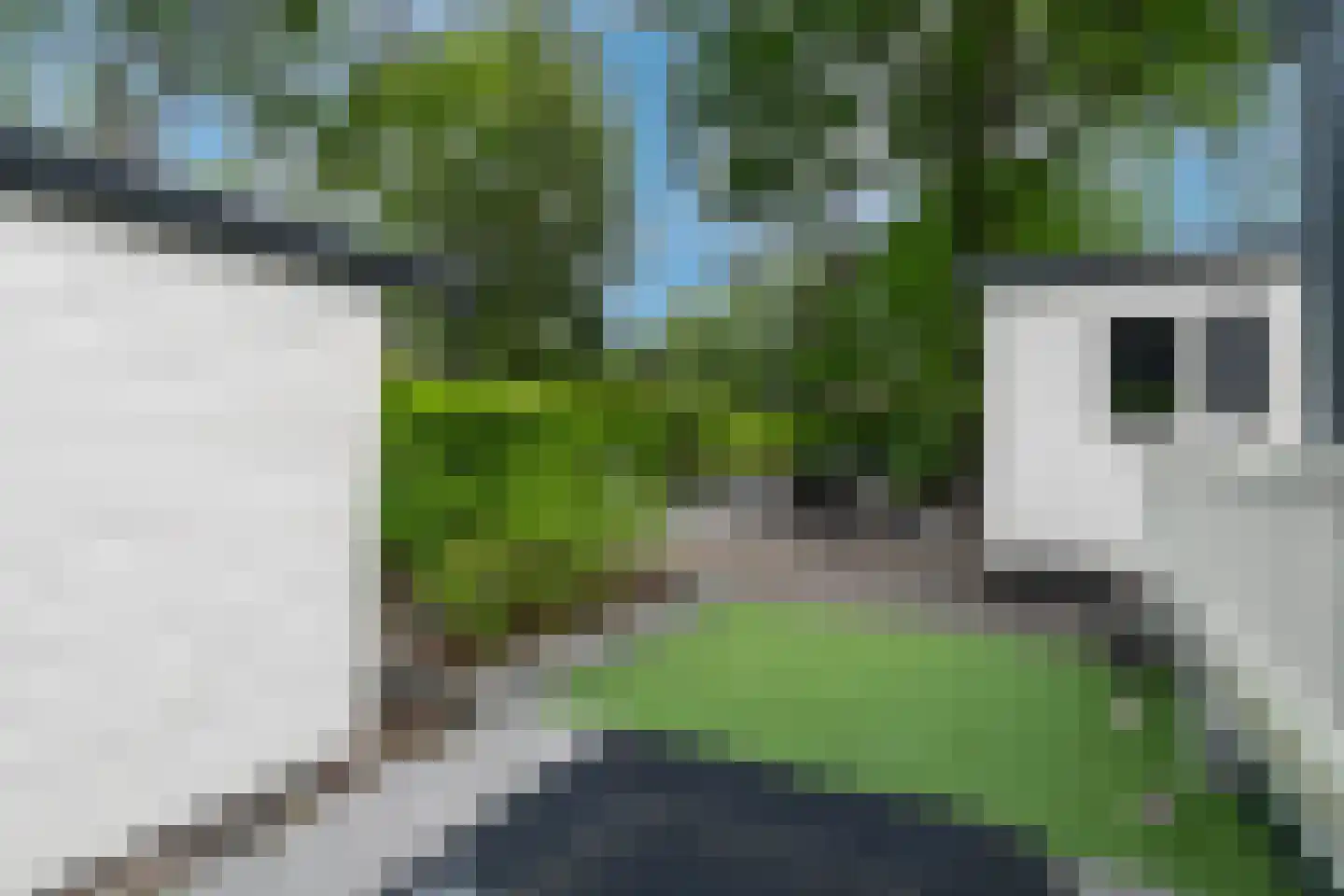 Posthoornseweg 6 32 Oisterwijk thumbnail 9