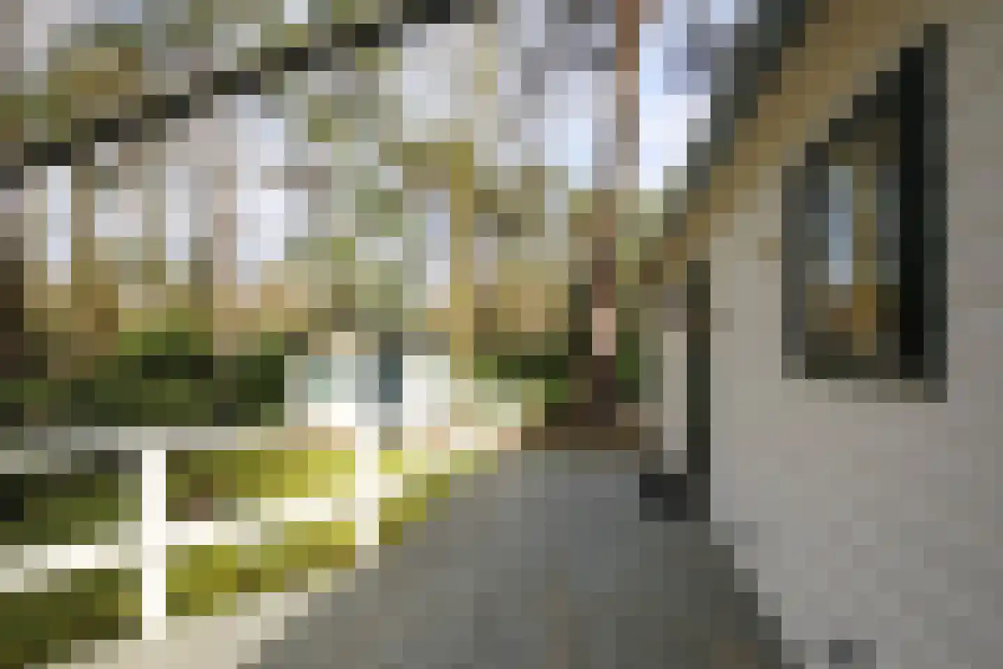 Posthoornseweg 6 59 Oisterwijk thumbnail 11