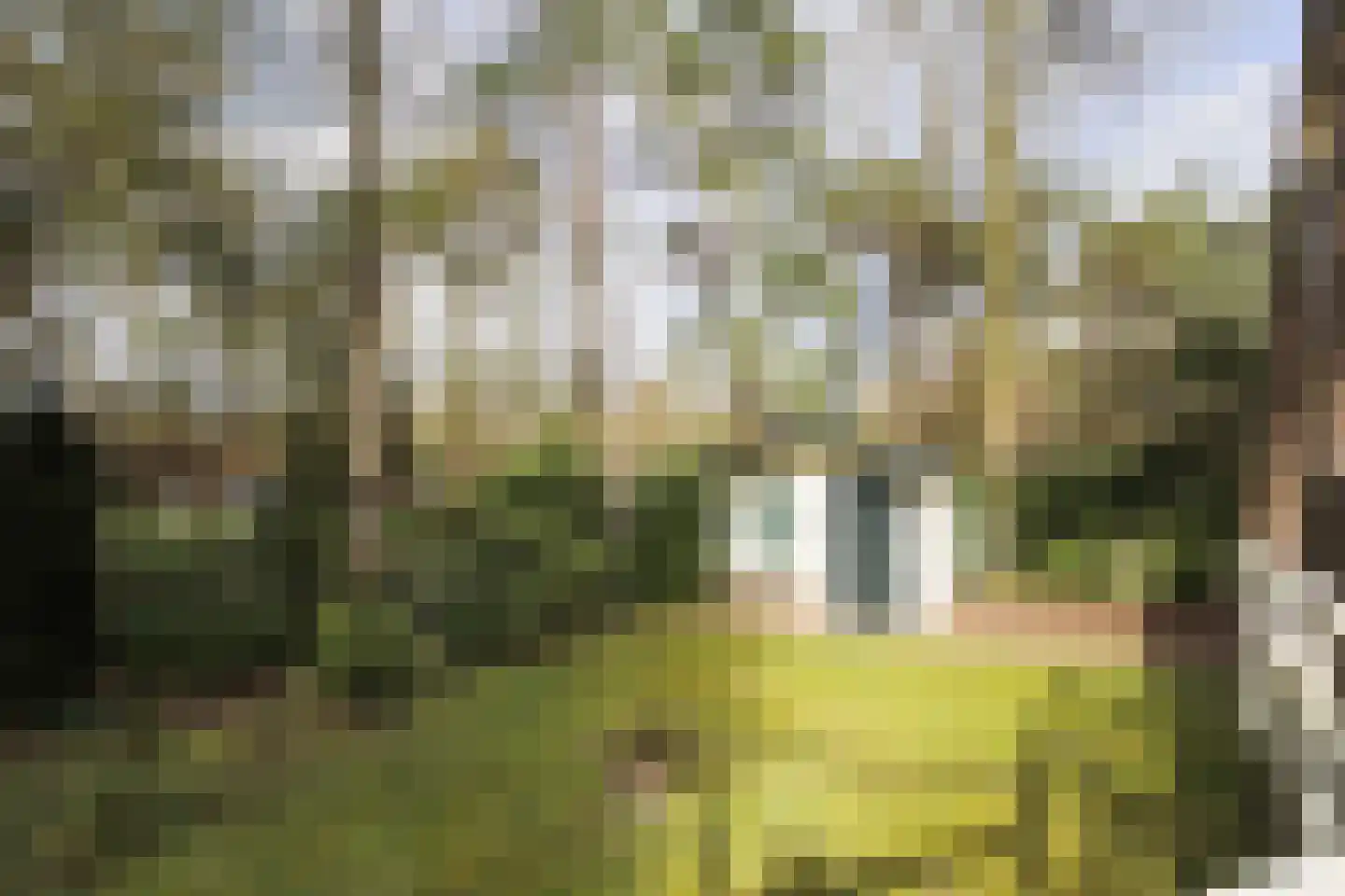 Posthoornseweg 6 59 Oisterwijk thumbnail 12