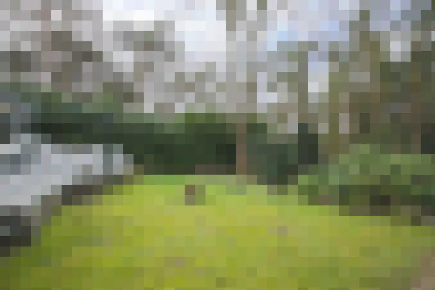 Posthoornseweg 6 59 Oisterwijk thumbnail 6