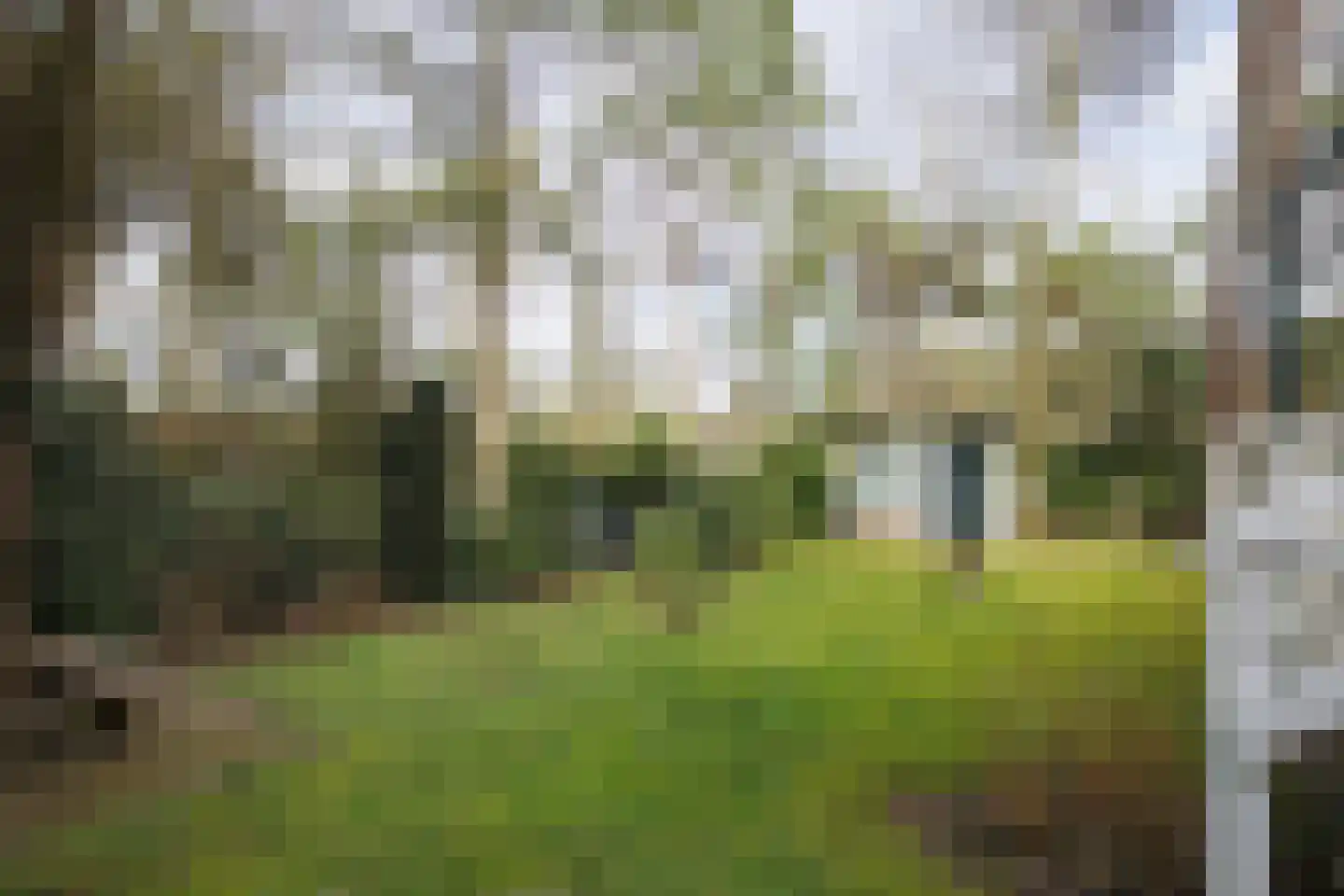 Posthoornseweg 6 59 Oisterwijk thumbnail 8