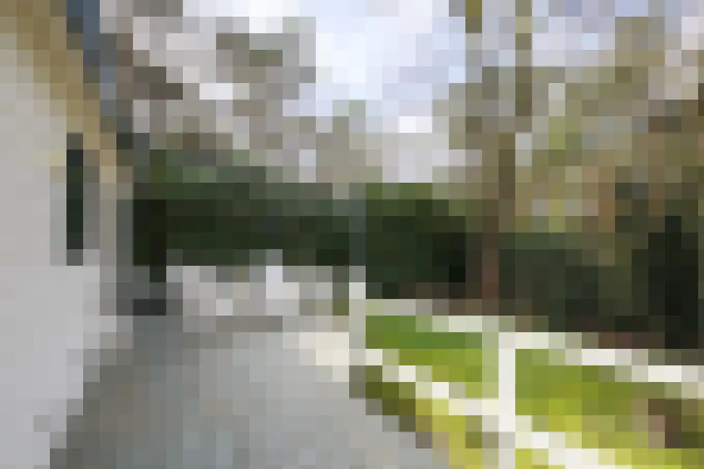 Posthoornseweg 6 59 Oisterwijk thumbnail 9