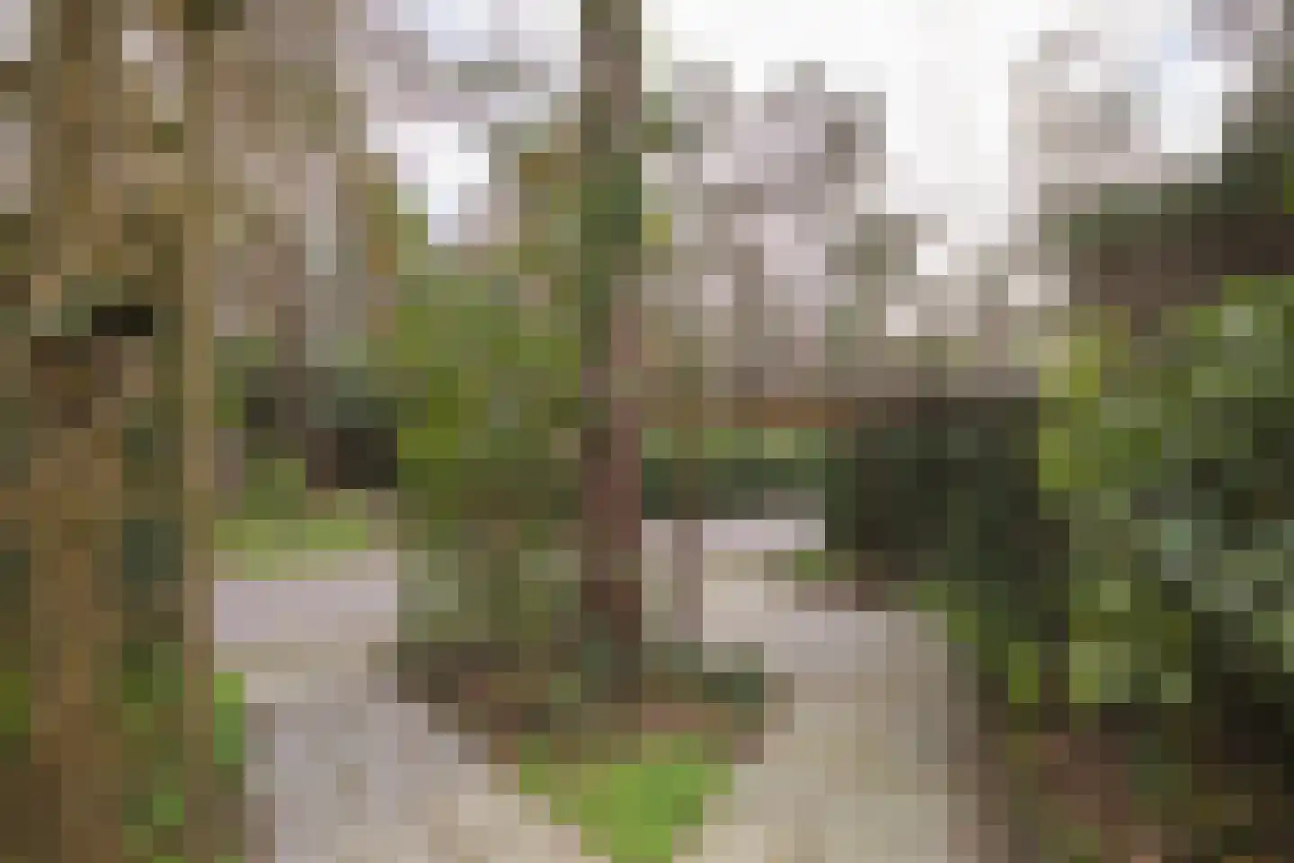 Posthoornseweg 6 7 Oisterwijk thumbnail 17