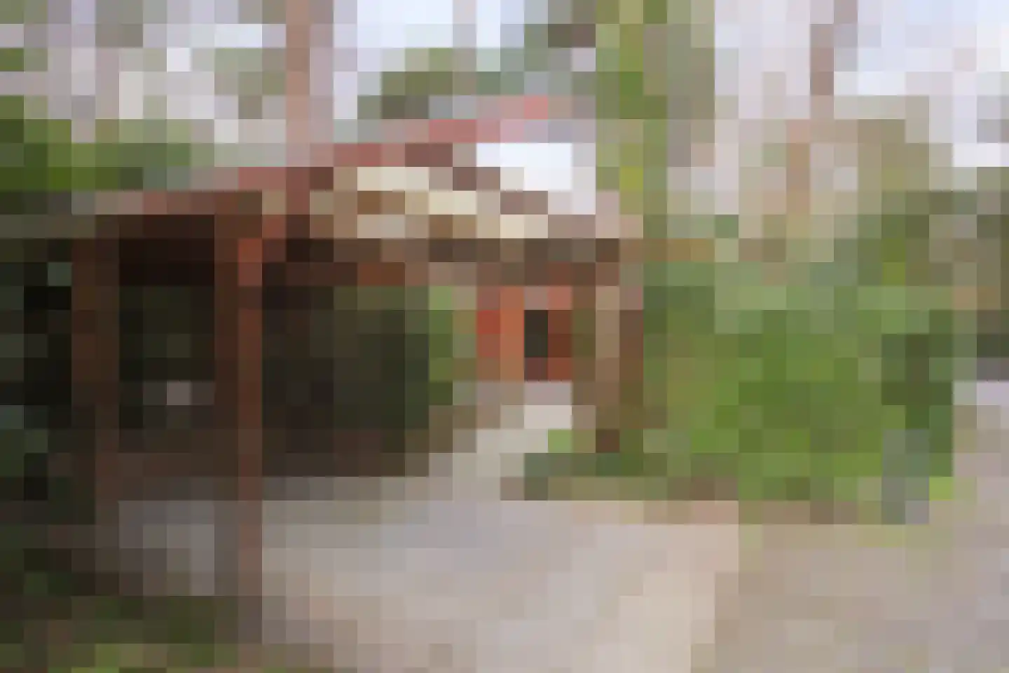 Posthoornseweg 6 7 Oisterwijk thumbnail 18
