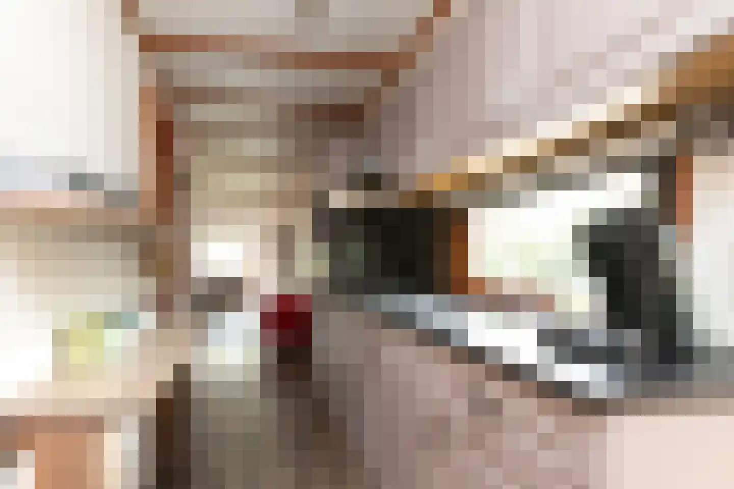 Posthoornseweg 6 7 Oisterwijk thumbnail 8