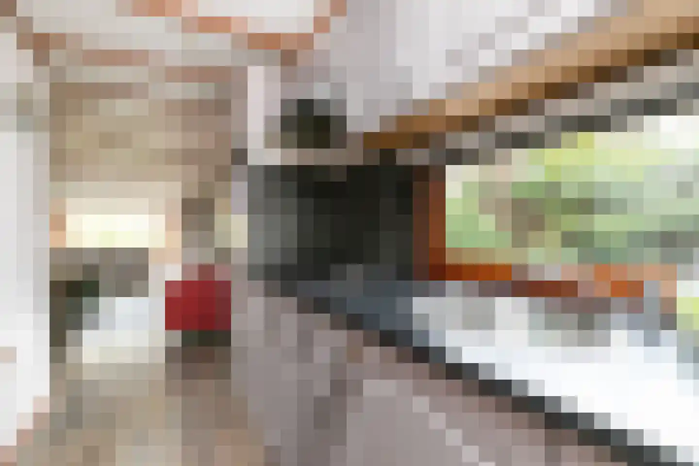 Posthoornseweg 6 7 Oisterwijk thumbnail 9