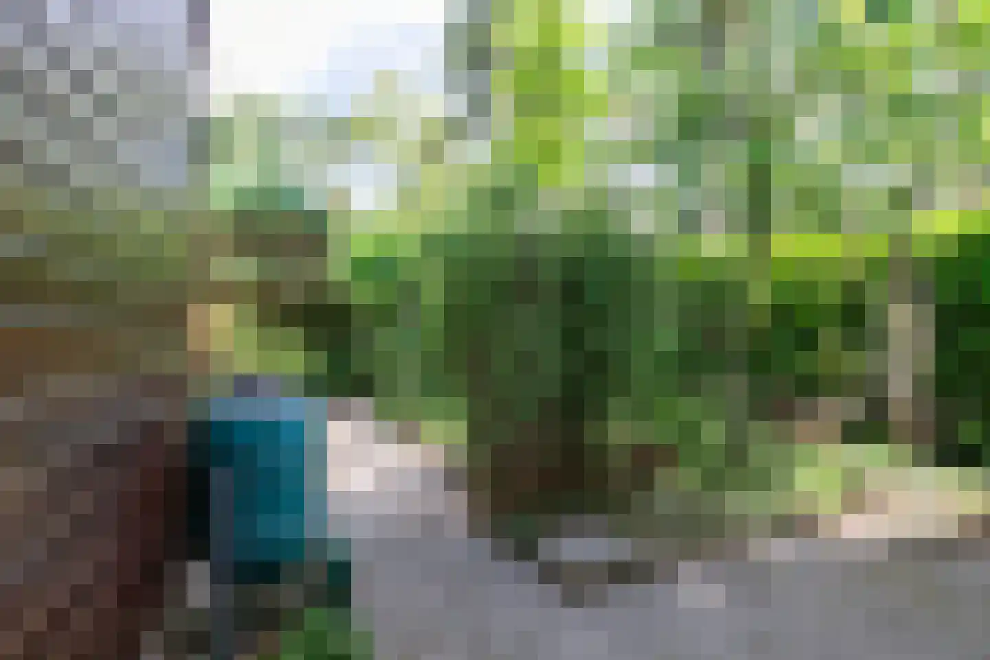 Posthoornseweg 6 74 Oisterwijk thumbnail 4